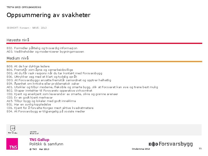 TRI*M GRID OPPSUMMERING Oppsummering av svakheter SEGMENT: Konsern - WAVE: 2013 Høyeste nivå E