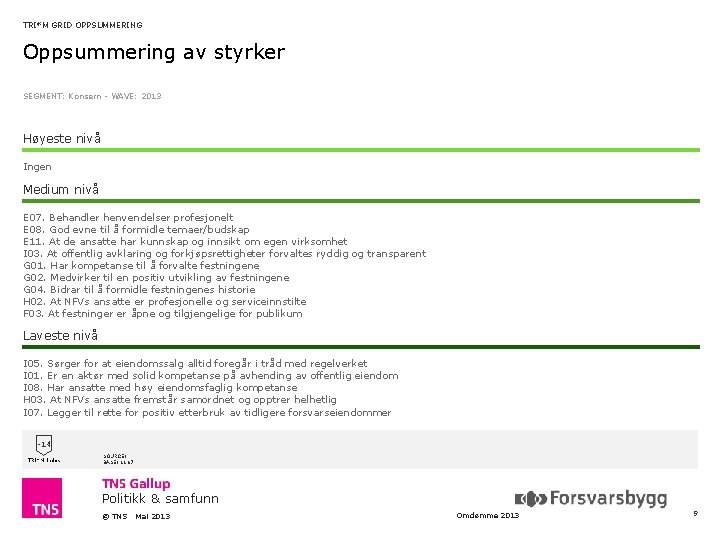 TRI*M GRID OPPSUMMERING Oppsummering av styrker SEGMENT: Konsern - WAVE: 2013 Høyeste nivå Ingen