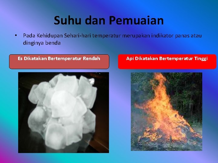 Suhu dan Pemuaian • Pada Kehidupan Sehari-hari temperatur merupakan indikator panas atau dinginya benda