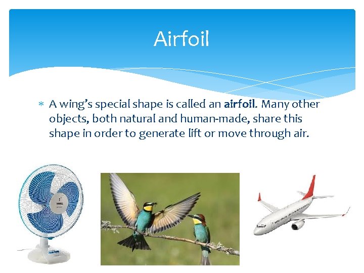 Airfoil A wing’s special shape is called an airfoil. Many other objects, both natural