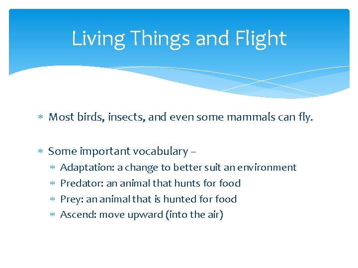 Living Things and Flight Most birds, insects, and even some mammals can fly. Some