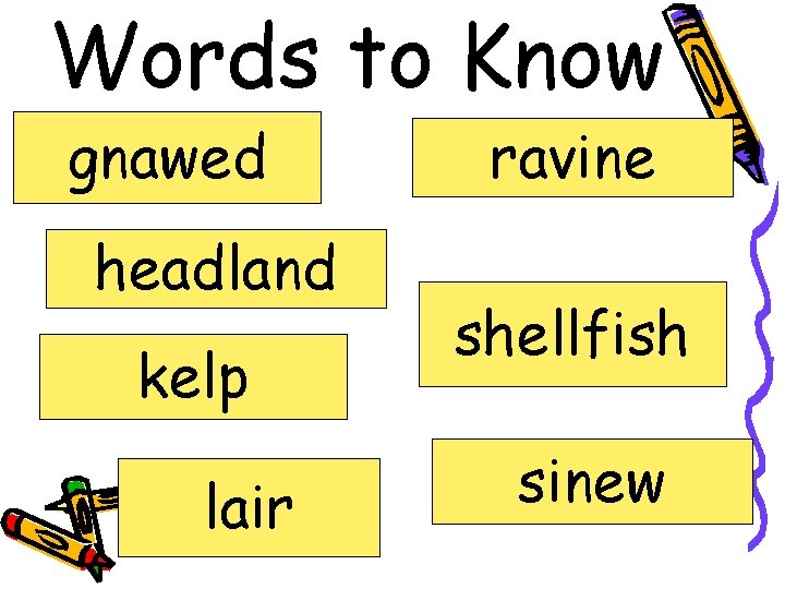 Words to Know gnawed headland kelp lair ravine shellfish sinew 