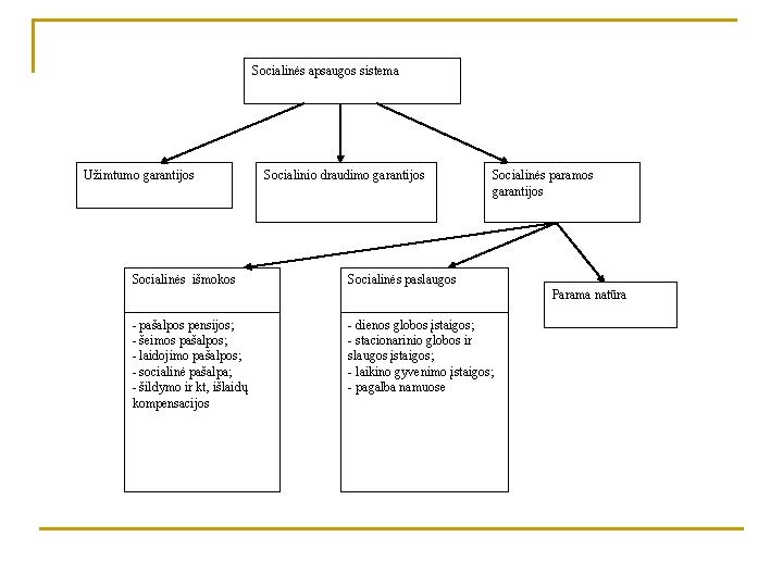 Socialinės apsaugos sistema Užimtumo garantijos Socialinės išmokos Socialinio draudimo garantijos Socialinės paramos garantijos Socialinės