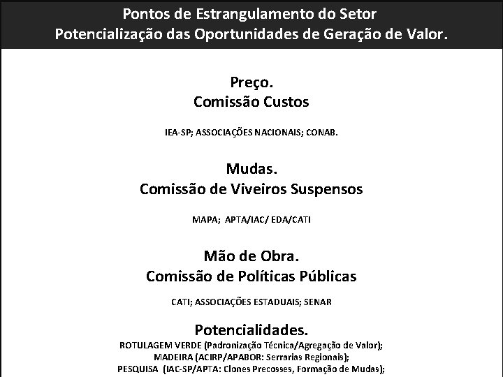 Pontos de Estrangulamento do Setor Potencialização das Oportunidades de Geração de Valor. Preço. Comissão