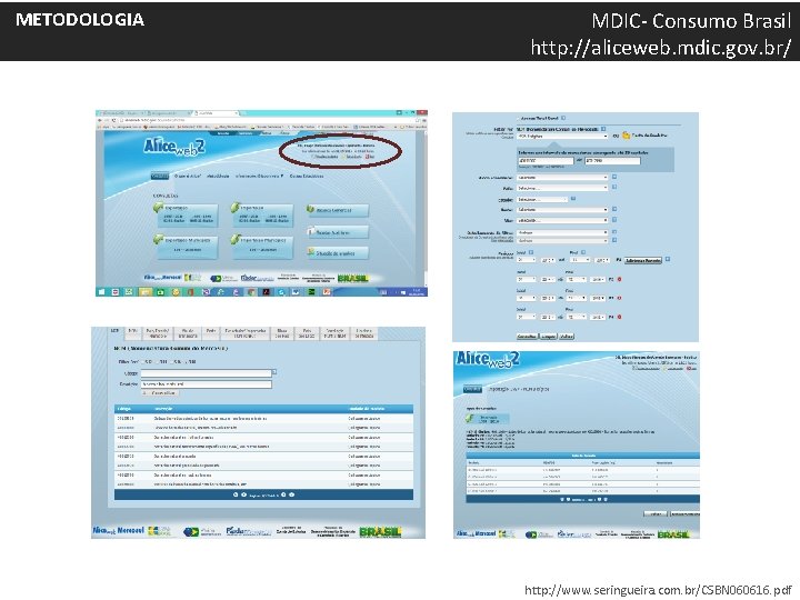 METODOLOGIA MDIC- Consumo Brasil http: //aliceweb. mdic. gov. br/ http: //www. seringueira. com. br/CSBN