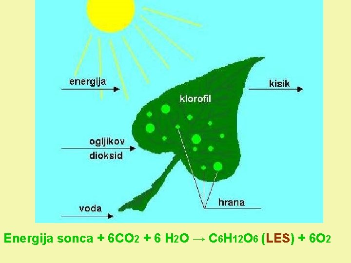 Energija sonca + 6 CO 2 + 6 H 2 O → C 6