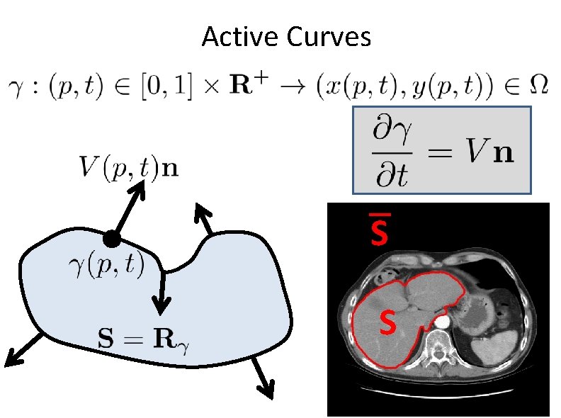 Active Curves S S 1 