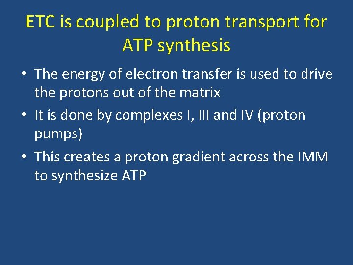 ETC is coupled to proton transport for ATP synthesis • The energy of electron