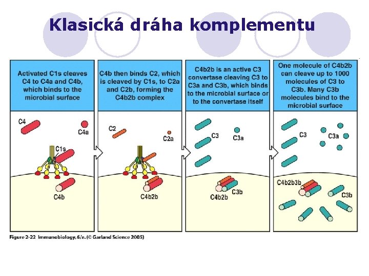 Klasická dráha komplementu 