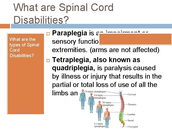 What are Spinal Cord Disabilities? What are the types of Spinal Cord Disabilities? Paraplegia What are Spinal Cord Disabilities? What are the types of Spinal Cord Disabilities? Paraplegia