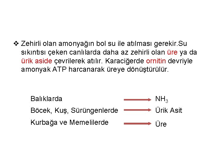 v Zehirli olan amonyağın bol su ile atılması gerekir. Su sıkıntısı çeken canlılarda daha