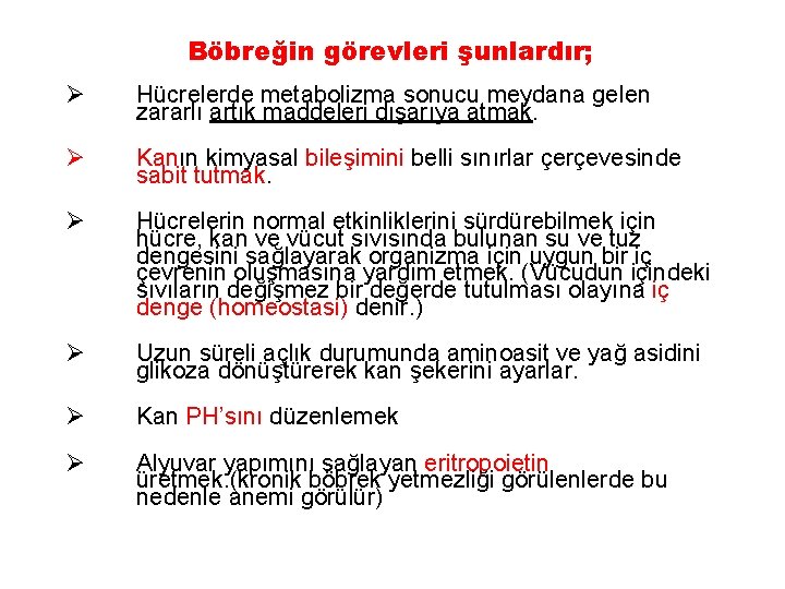 Böbreğin görevleri şunlardır; Ø Hücrelerde metabolizma sonucu meydana gelen zararlı artık maddeleri dışarıya atmak.