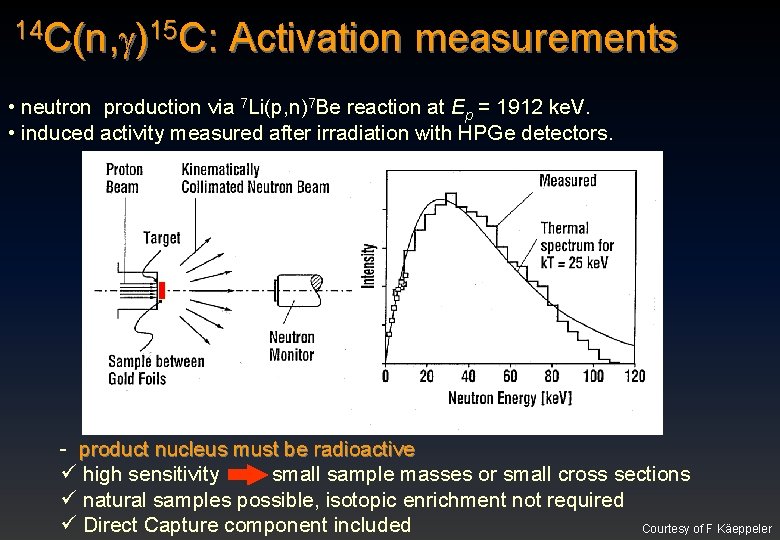 14 C(n, )15 C: Activation measurements • neutron production via 7 Li(p, n)7 Be