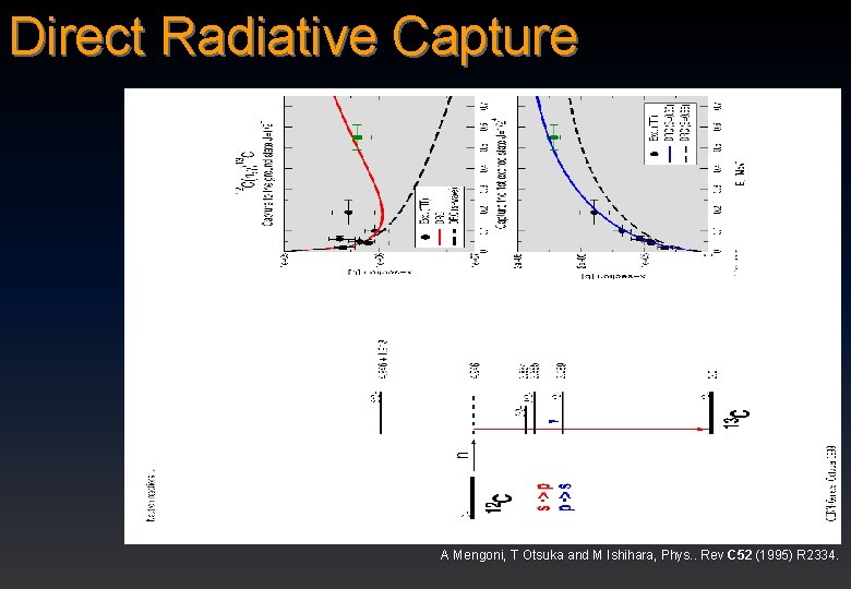 Direct Radiative Capture A Mengoni, T Otsuka and M Ishihara, Phys. . Rev C