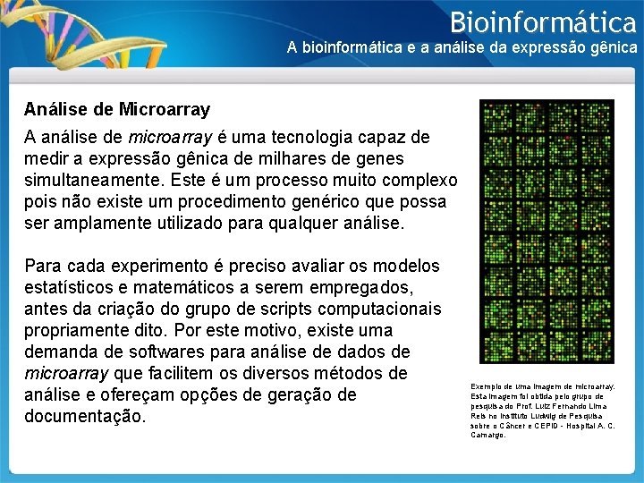 Bioinformática A bioinformática e a análise da expressão gênica Análise de Microarray A análise