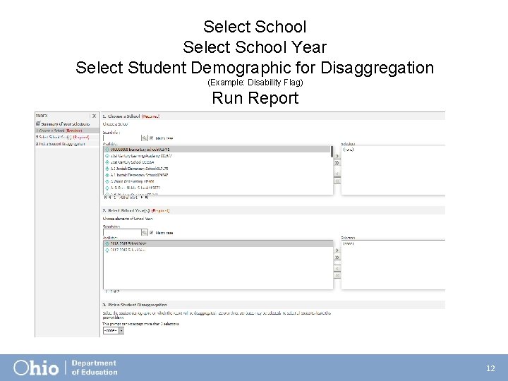 Select School Year Select Student Demographic for Disaggregation (Example: Disability Flag) Run Report 12