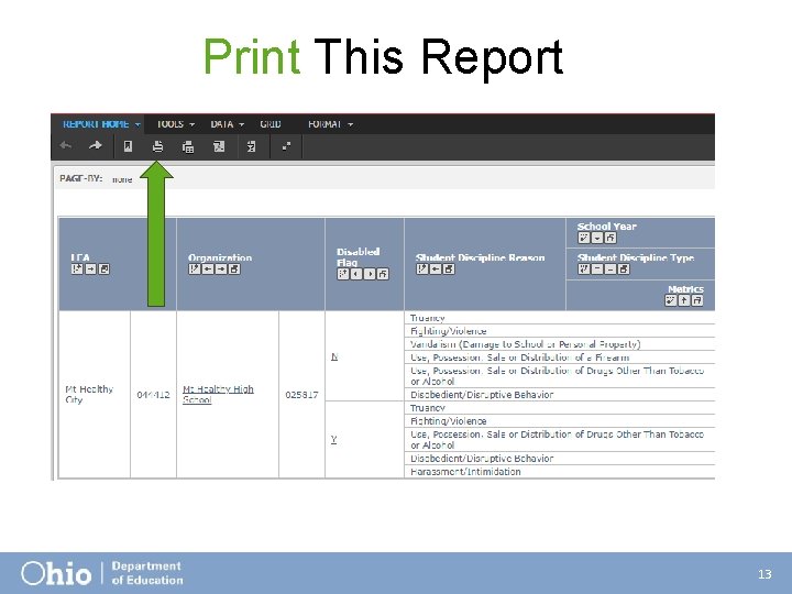 Print This Report 13 