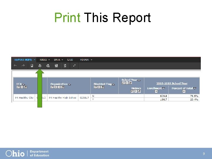 Print This Report 9 