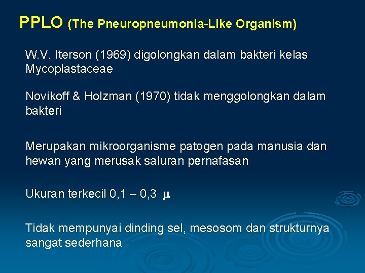 PPLO (The Pneuropneumonia-Like Organism) W. V. Iterson (1969) digolongkan dalam bakteri kelas Mycoplastaceae Novikoff