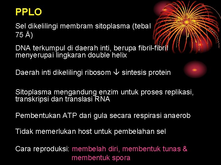 PPLO Sel dikelilingi membram sitoplasma (tebal 75 Å) DNA terkumpul di daerah inti, berupa