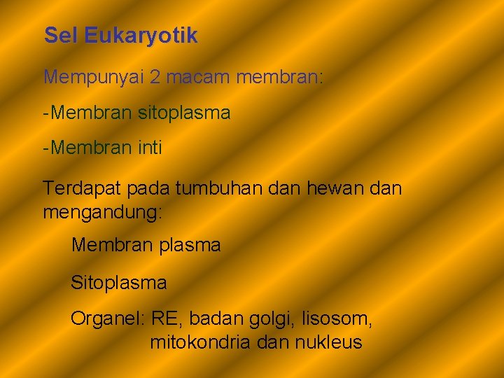 Sel Eukaryotik Mempunyai 2 macam membran: -Membran sitoplasma -Membran inti Terdapat pada tumbuhan dan