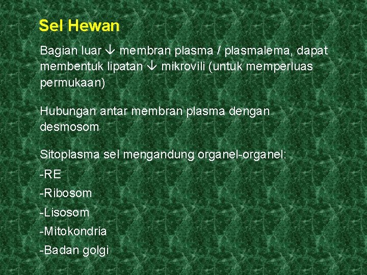 Sel Hewan Bagian luar membran plasma / plasmalema, dapat membentuk lipatan mikrovili (untuk memperluas