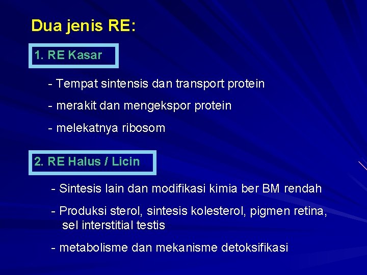 Dua jenis RE: 1. RE Kasar - Tempat sintensis dan transport protein - merakit