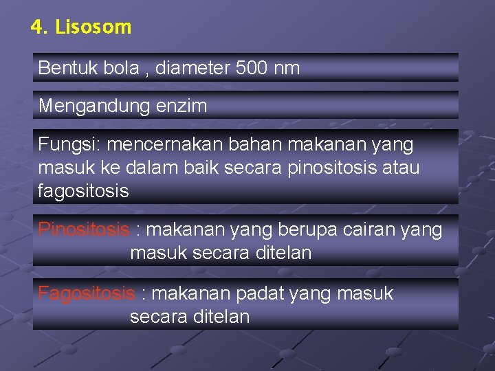 4. Lisosom Bentuk bola , diameter 500 nm Mengandung enzim Fungsi: mencernakan bahan makanan