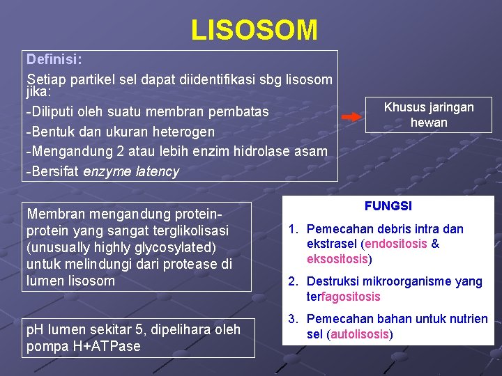 LISOSOM Definisi: Setiap partikel sel dapat diidentifikasi sbg lisosom jika: -Diliputi oleh suatu membran