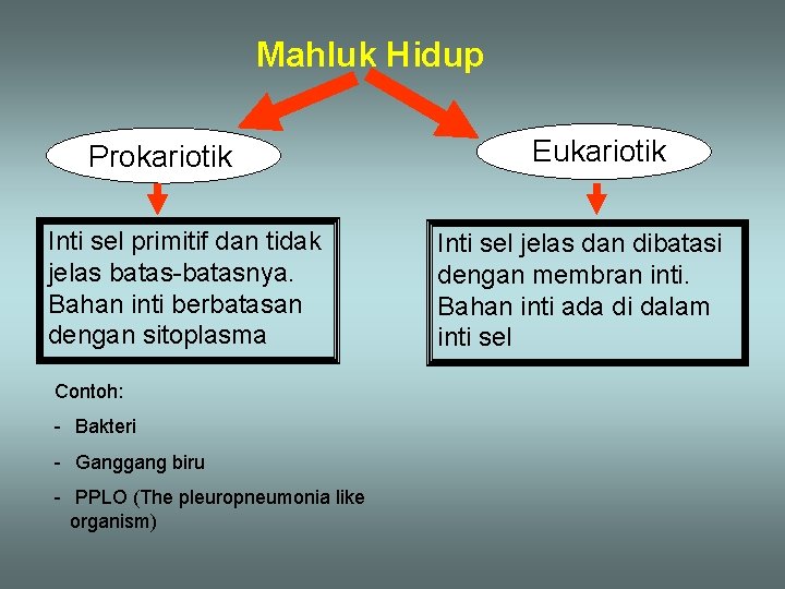 Mahluk Hidup Prokariotik Inti sel primitif dan tidak jelas batas-batasnya. Bahan inti berbatasan dengan