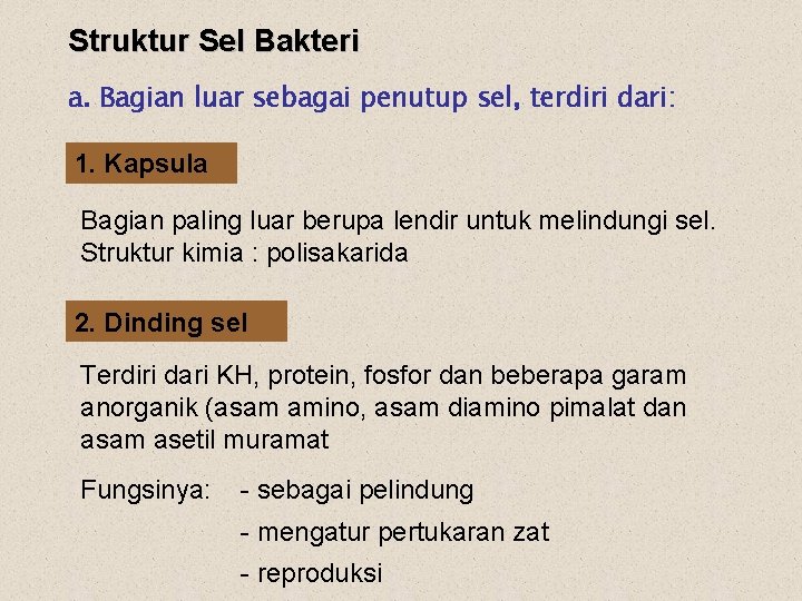 Struktur Sel Bakteri a. Bagian luar sebagai penutup sel, terdiri dari: 1. Kapsula Bagian