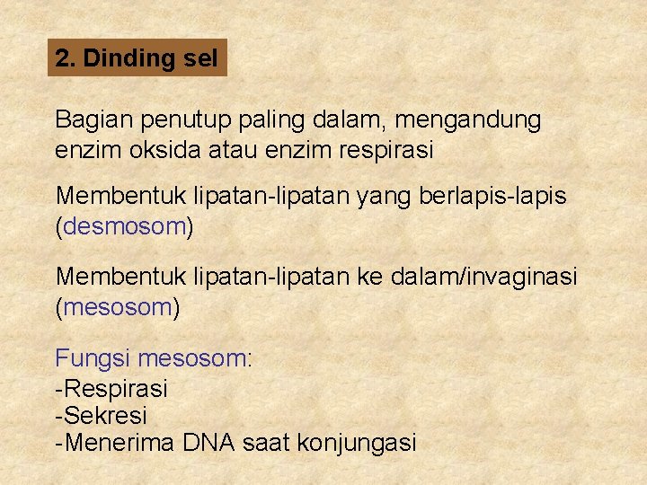 2. Dinding sel Bagian penutup paling dalam, mengandung enzim oksida atau enzim respirasi Membentuk