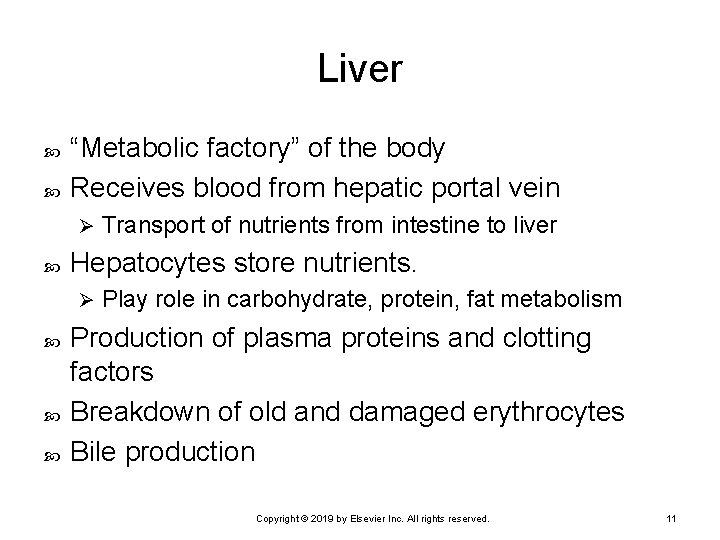 Liver “Metabolic factory” of the body Receives blood from hepatic portal vein Ø Hepatocytes