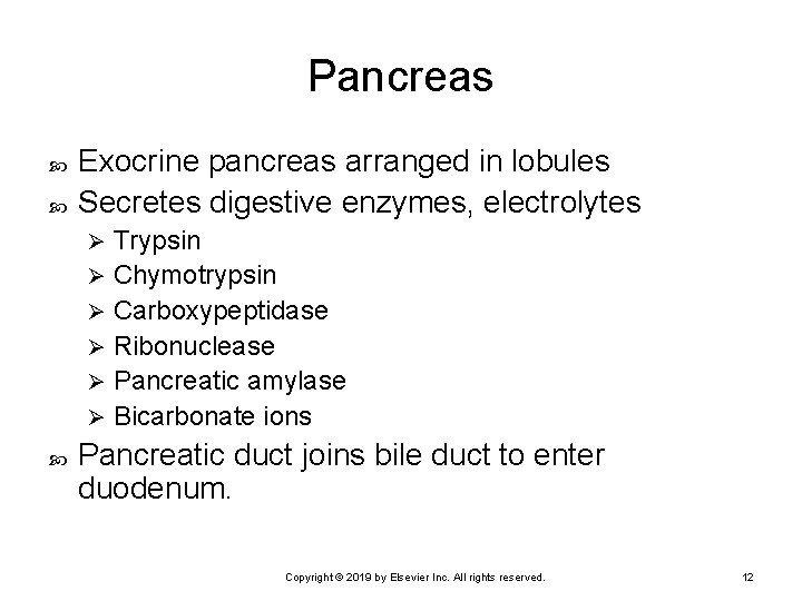Pancreas Exocrine pancreas arranged in lobules Secretes digestive enzymes, electrolytes Trypsin Ø Chymotrypsin Ø