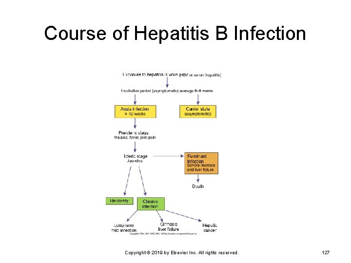 Course of Hepatitis B Infection Copyright © 2019 by Elsevier Inc. All rights reserved.