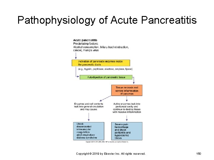 Pathophysiology of Acute Pancreatitis Copyright © 2019 by Elsevier Inc. All rights reserved. 150