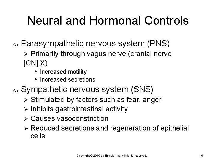 Neural and Hormonal Controls Parasympathetic nervous system (PNS) Primarily through vagus nerve (cranial nerve