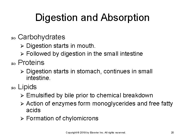Digestion and Absorption Carbohydrates Digestion starts in mouth. Ø Followed by digestion in the