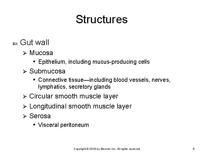 Structures Gut wall Mucosa • Epithelium, including mucus-producing cells Ø Submucosa • Connective tissue—including