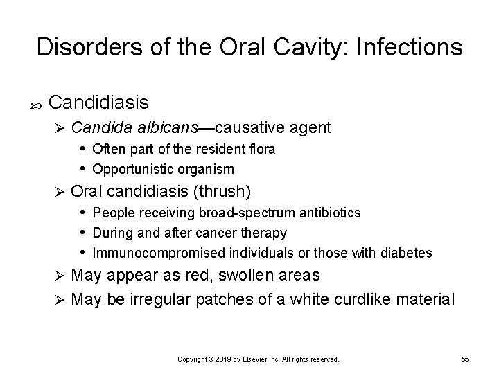 Disorders of the Oral Cavity: Infections Candidiasis Candida albicans—causative agent • Often part of
