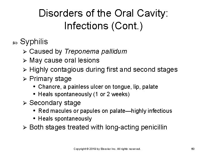 Disorders of the Oral Cavity: Infections (Cont. ) Syphilis Caused by Treponema pallidum Ø