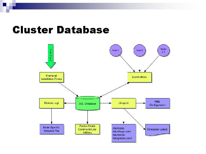 Cluster Database 