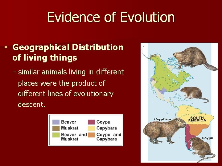 Evidence of Evolution § Geographical Distribution of living things - similar animals living in
