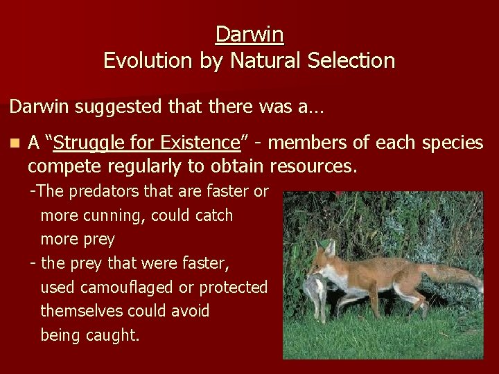 Darwin Evolution by Natural Selection Darwin suggested that there was a… n A “Struggle