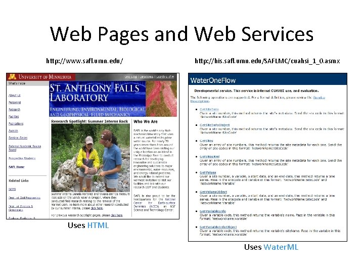 Web Pages and Web Services http: //www. safl. umn. edu/ http: //his. safl. umn.