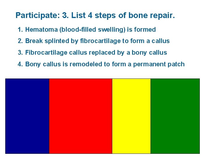 Participate: 3. List 4 steps of bone repair. 1. Hematoma (blood-filled swelling) is formed