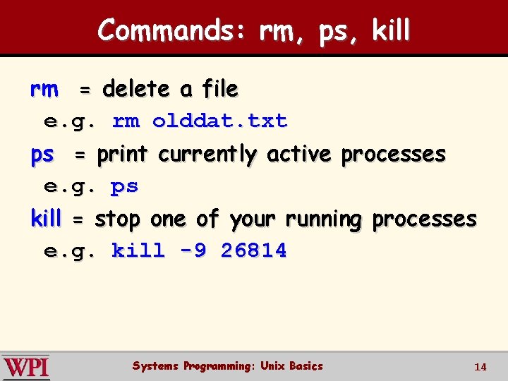 Commands: rm, ps, kill rm = delete a file e. g. rm olddat. txt