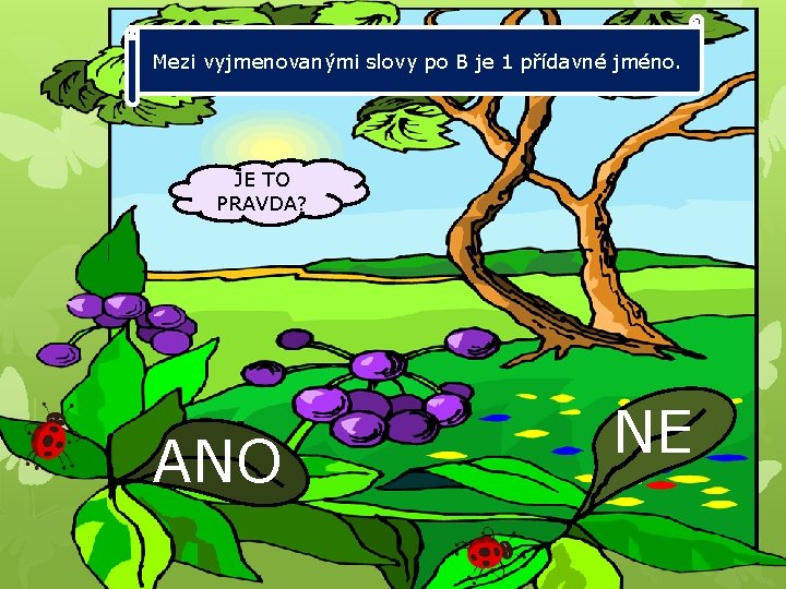 Mezi vyjmenovanými slovy po B je 1 přídavné jméno. JE TO PRAVDA? ANO NE