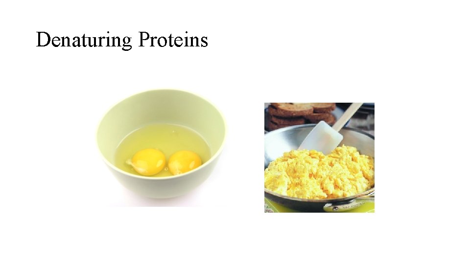 Denaturing Proteins Denaturing Proteins