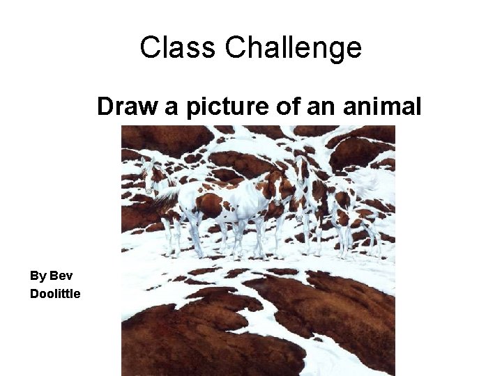 Class Challenge Draw a picture of an animal By Bev Doolittle 